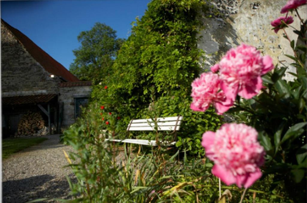 Chateau De Cocove Recques-sur-Hem Eksteriør billede